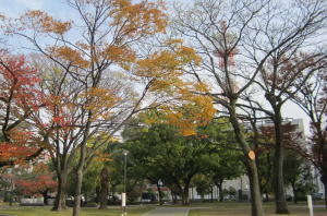 ザビエル公園
