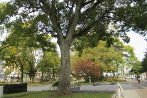 ザビエル公園